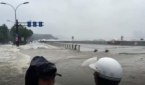 에 대한 최신 회사 뉴스 태풍 '라가사'가 다가오고 있다: 영향 과 준비 와 스테인레스 스틸 제조업 에 대한 의미